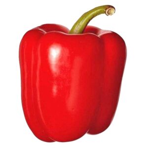 Big pepper