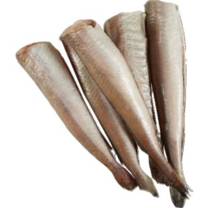 Hake Fish uncut