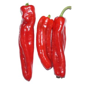 Long pepper