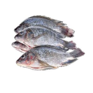 Tilapia (500g)