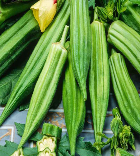 okra-1